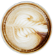 Cappucino